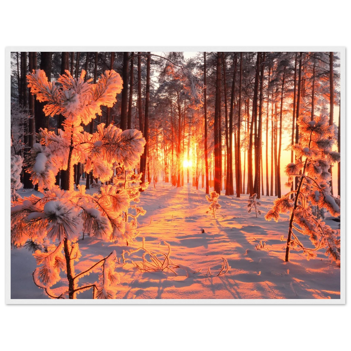01709a43-19c5-485b-be0c-ac87365a20ee