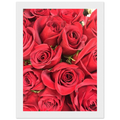 072cae3d-eae9-4de1-b28b-4abbdffc448c