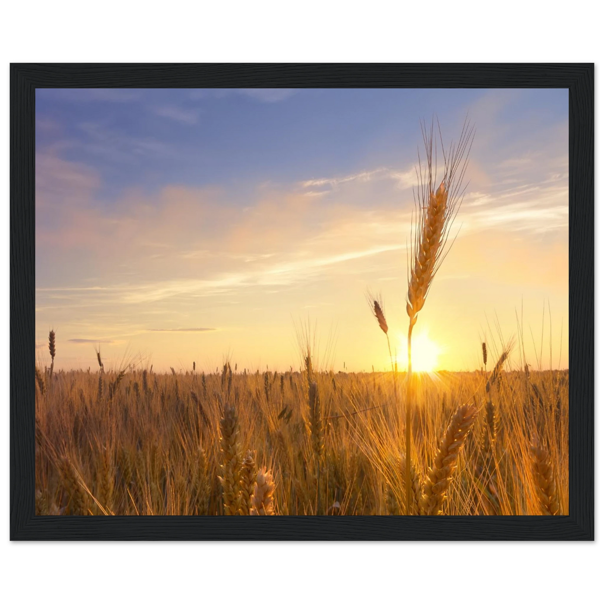 098efa07-3fcd-4778-87df-6004ae971e05
