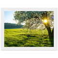 0ac8b5db-e954-452f-8362-013cc52478e6