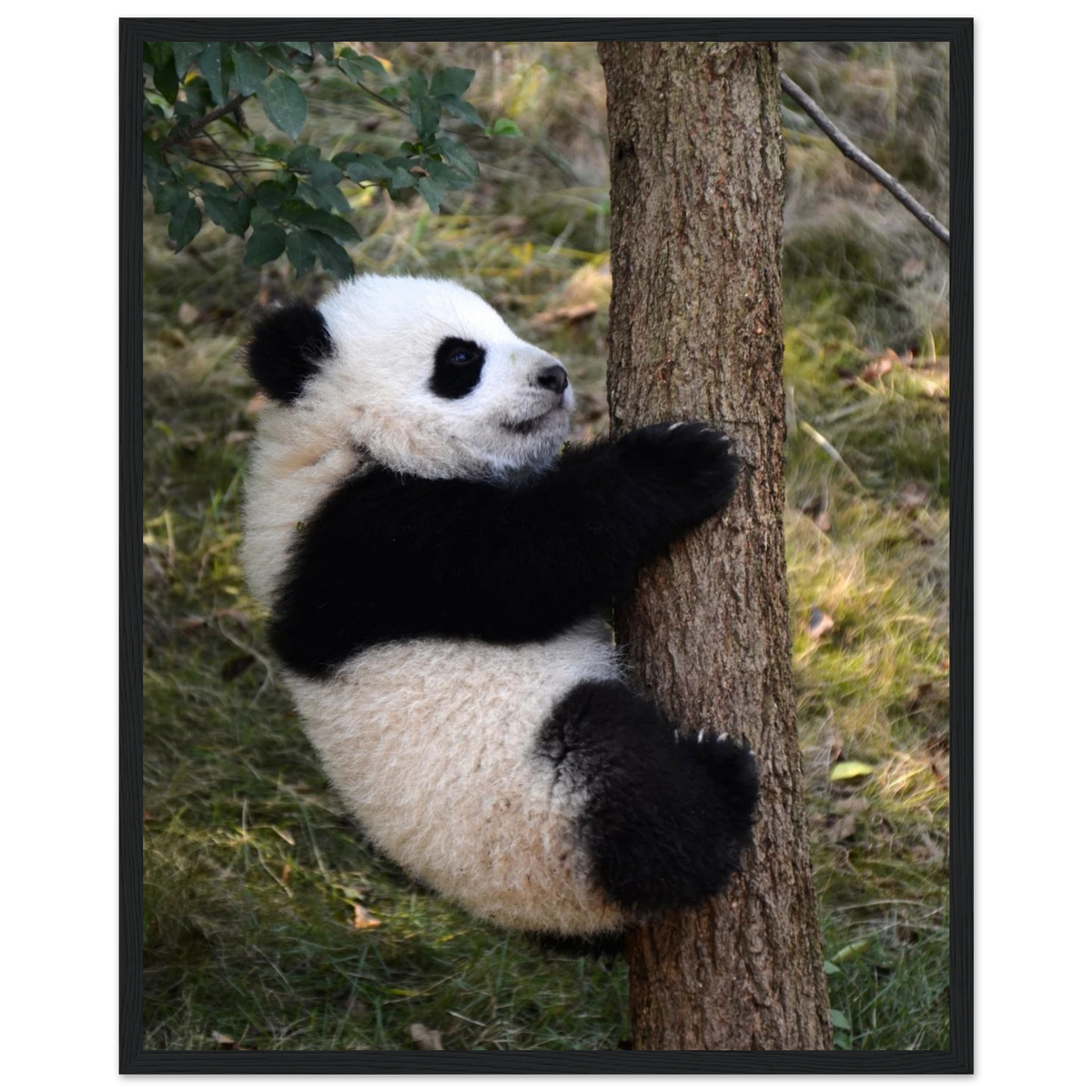 0c9cd086-259c-4ca0-8be7-1b6630cdb6a6