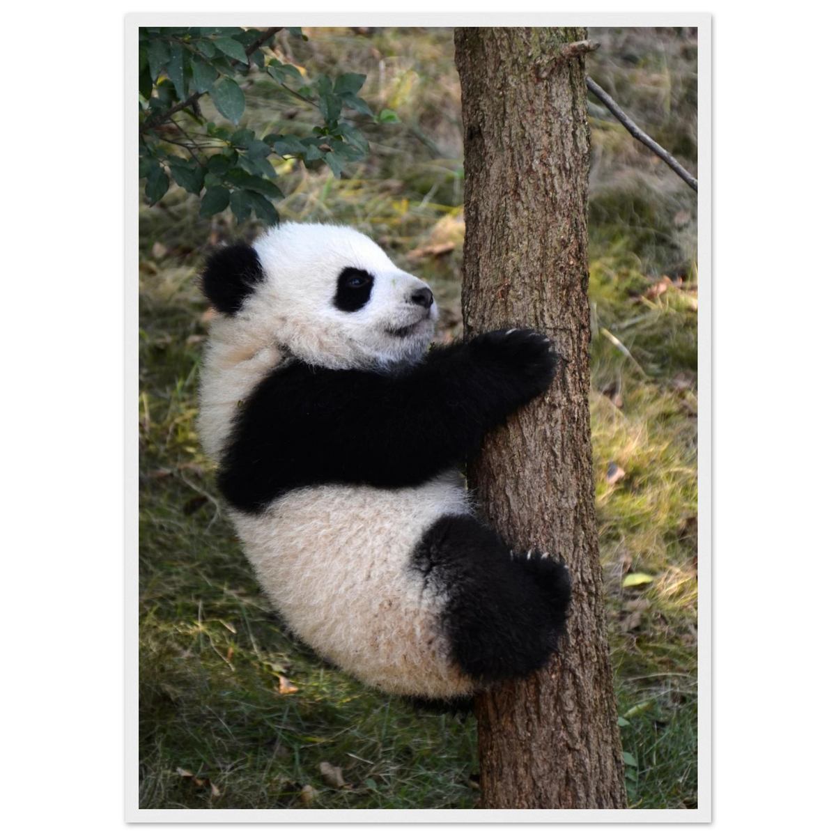 1016deb4-d276-4c84-96cb-01f7fa543166