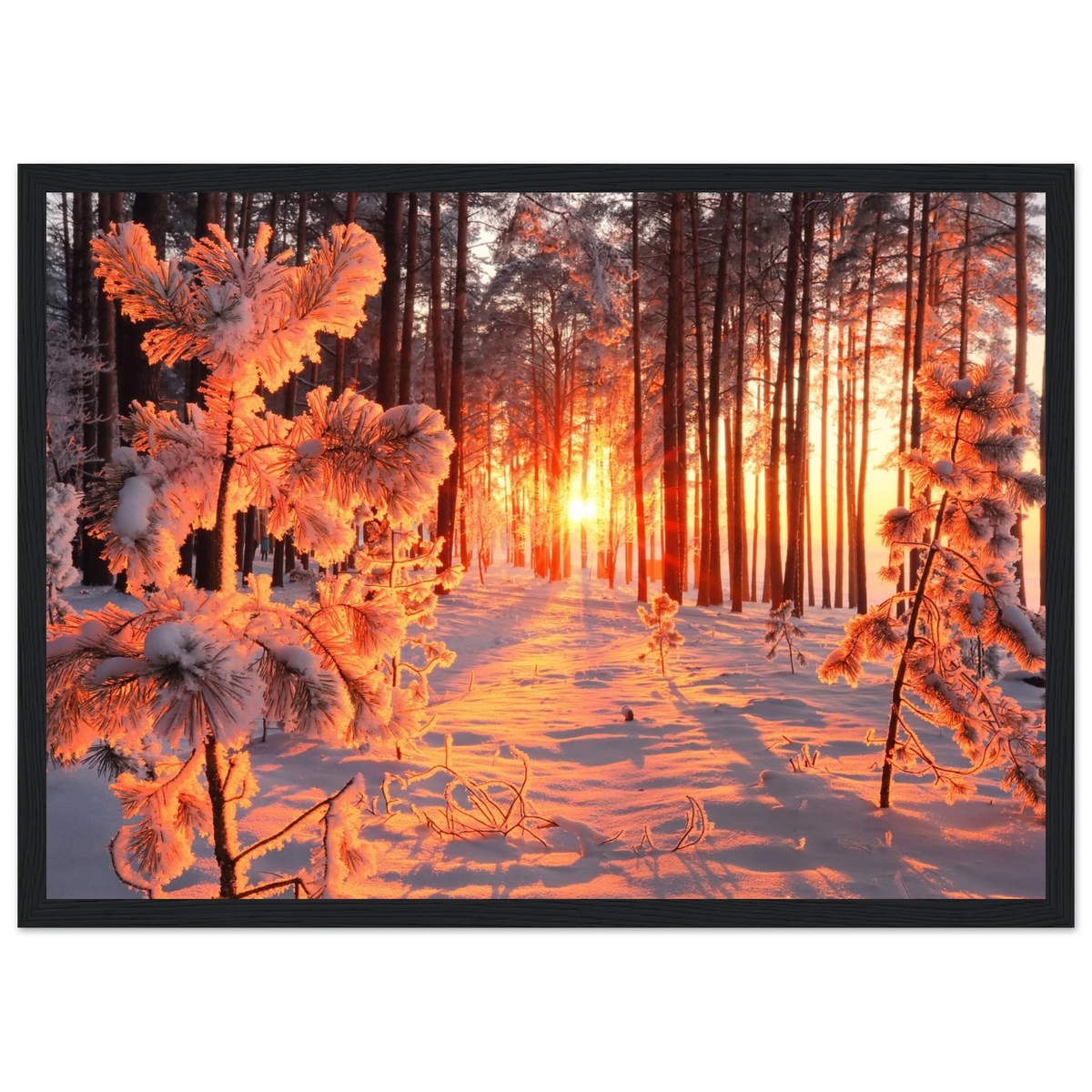 14ecbd76-47e0-4c22-a778-315447643ac5