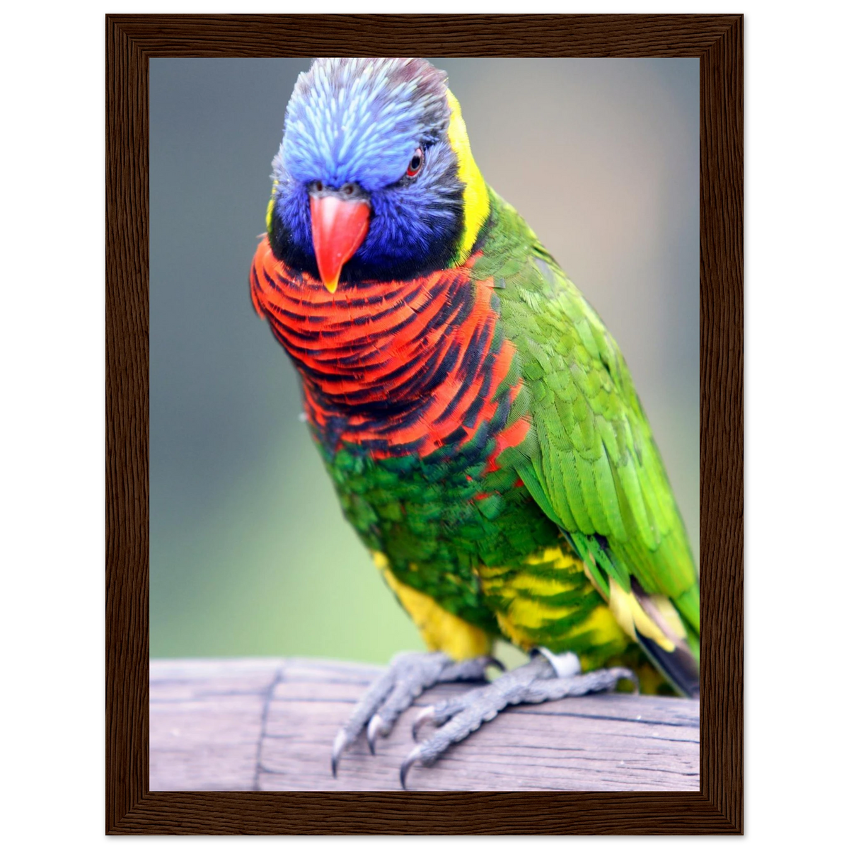 16168752-c2d7-4288-830f-c119b928fdb7