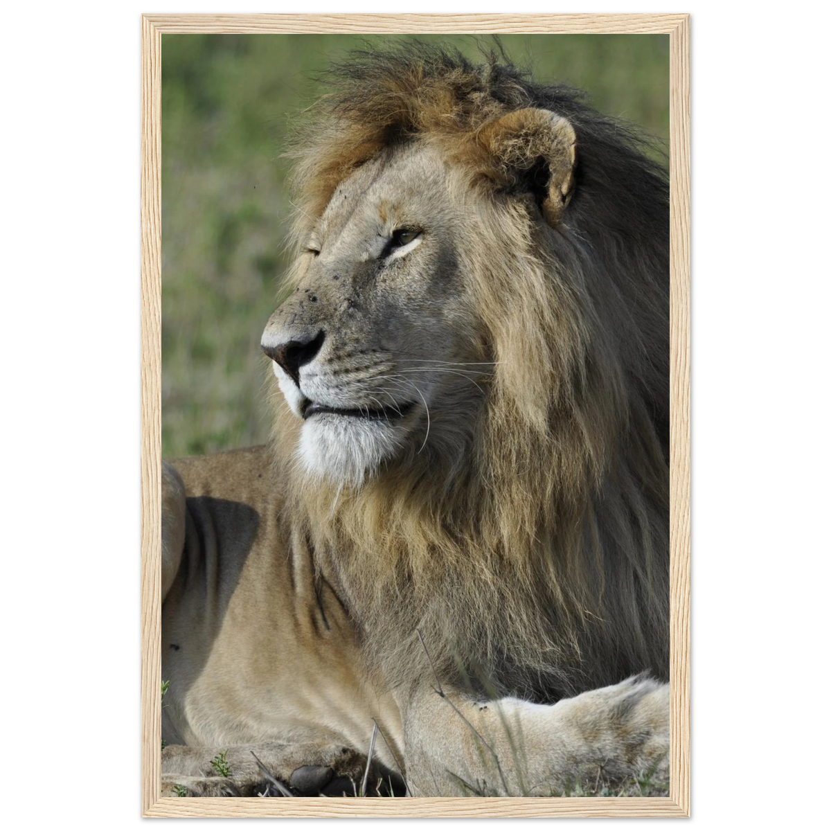 165c8066-414d-456e-bb72-5d64fd5ed7c2