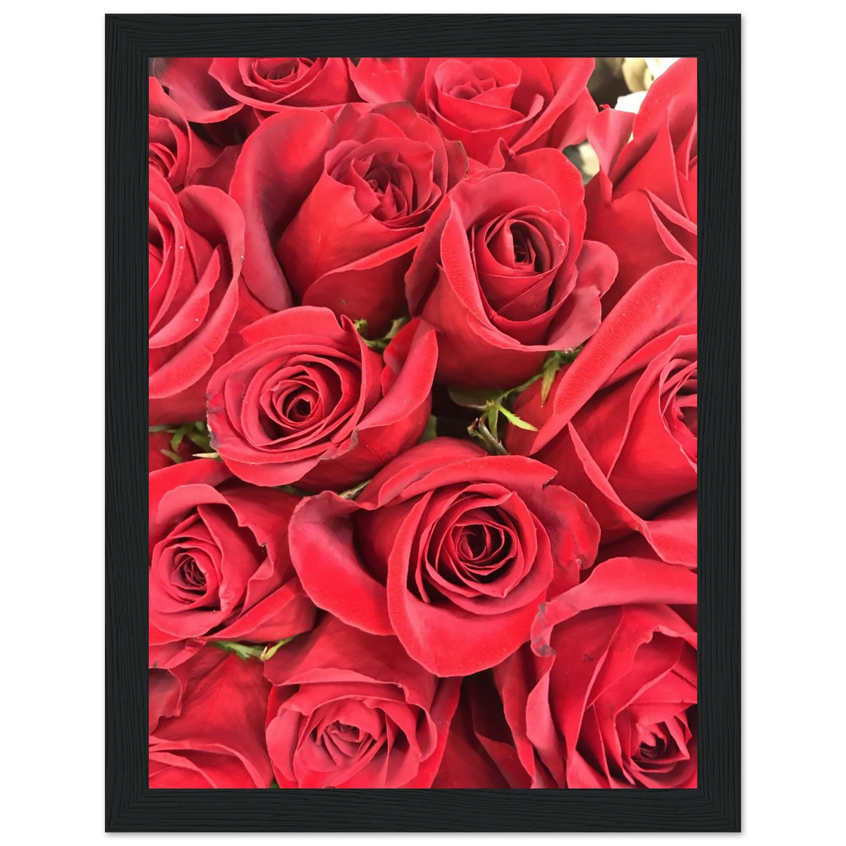 1cb21656-07ee-43eb-ad61-1cc7834513be