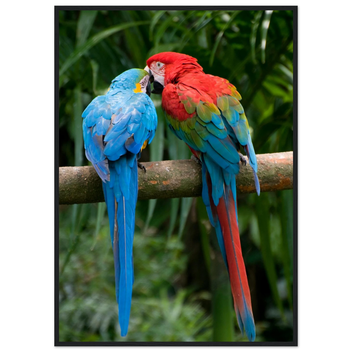 1d467460-e0ab-46d6-93cf-59c5cff2370c