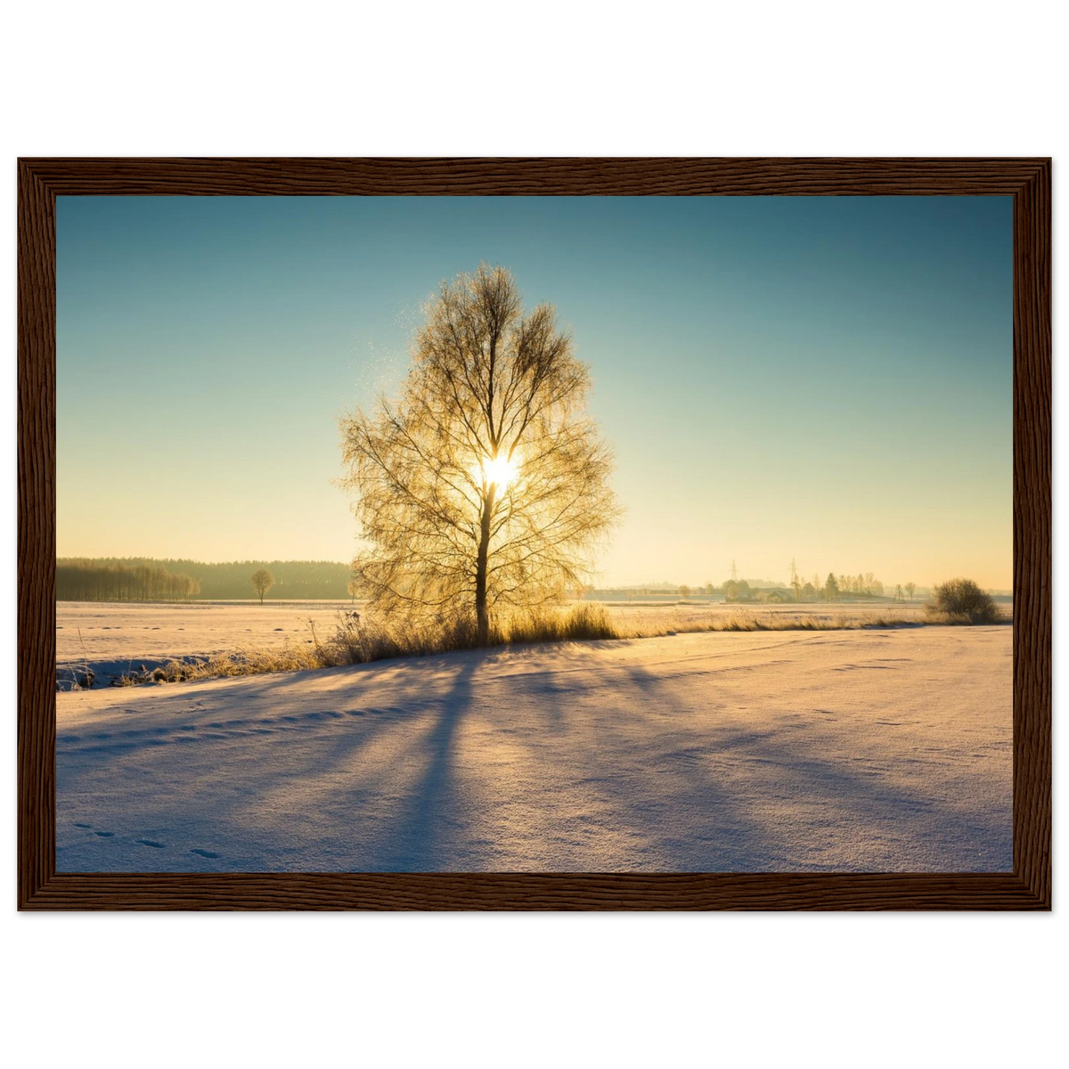 1e459eca-fb04-4f0a-9741-e4d5f9f41376