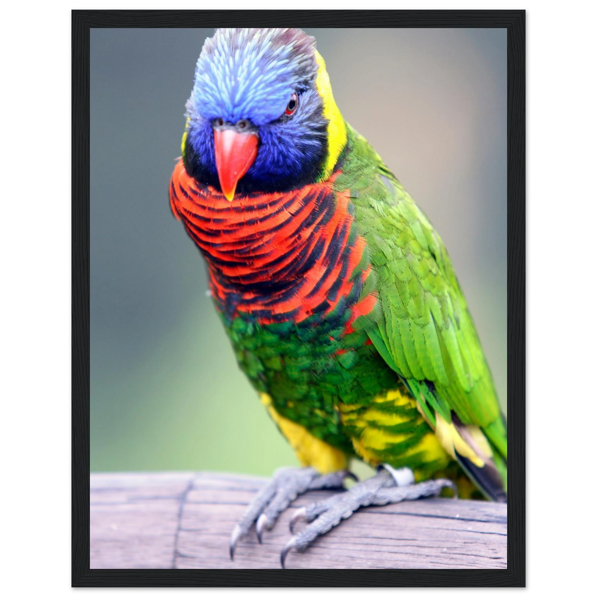 25a453e3-f17d-4265-826a-2af04b5cdb70