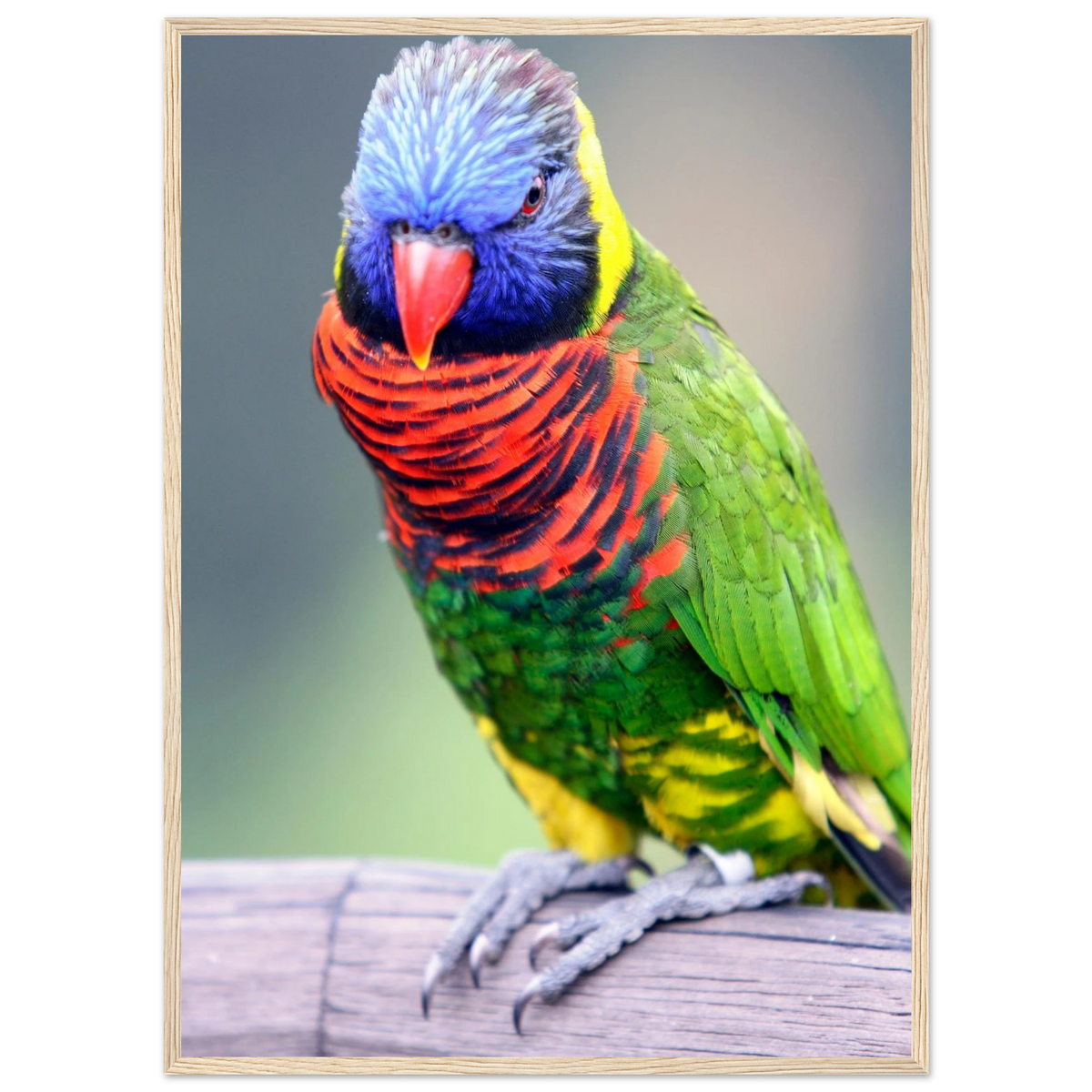 29b59620-53bb-4e5e-86ca-7edac6f9f8e8