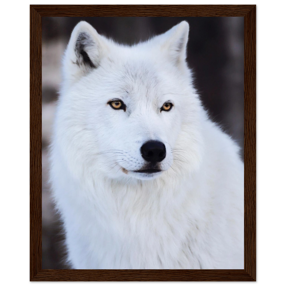 2ab1f0fd-0921-47bc-acd2-f9d920bc8314