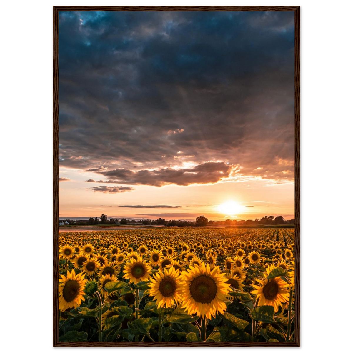 2b46309e-e7a9-4717-bf72-ba977b1ebf77