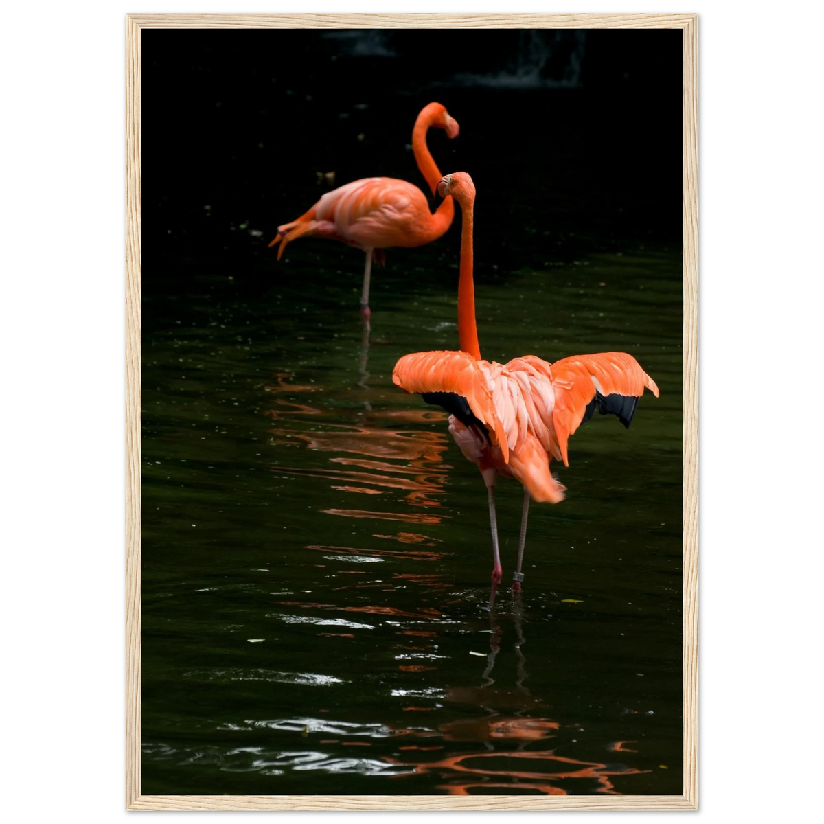 2d5da755-12d6-4b1e-899a-38b213396bc2
