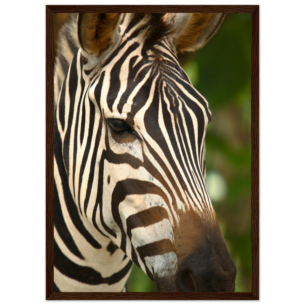 2d607666-9c88-443f-b00d-37ba1b0ae00f
