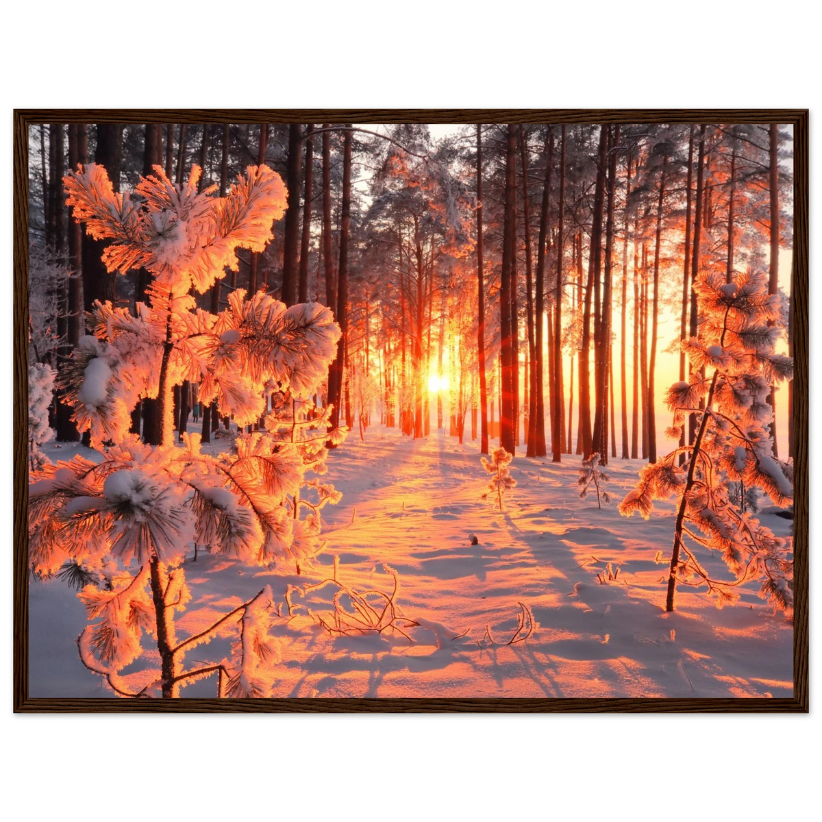 2f183b7d-c8bc-44e1-bff5-70d6c536e2c7