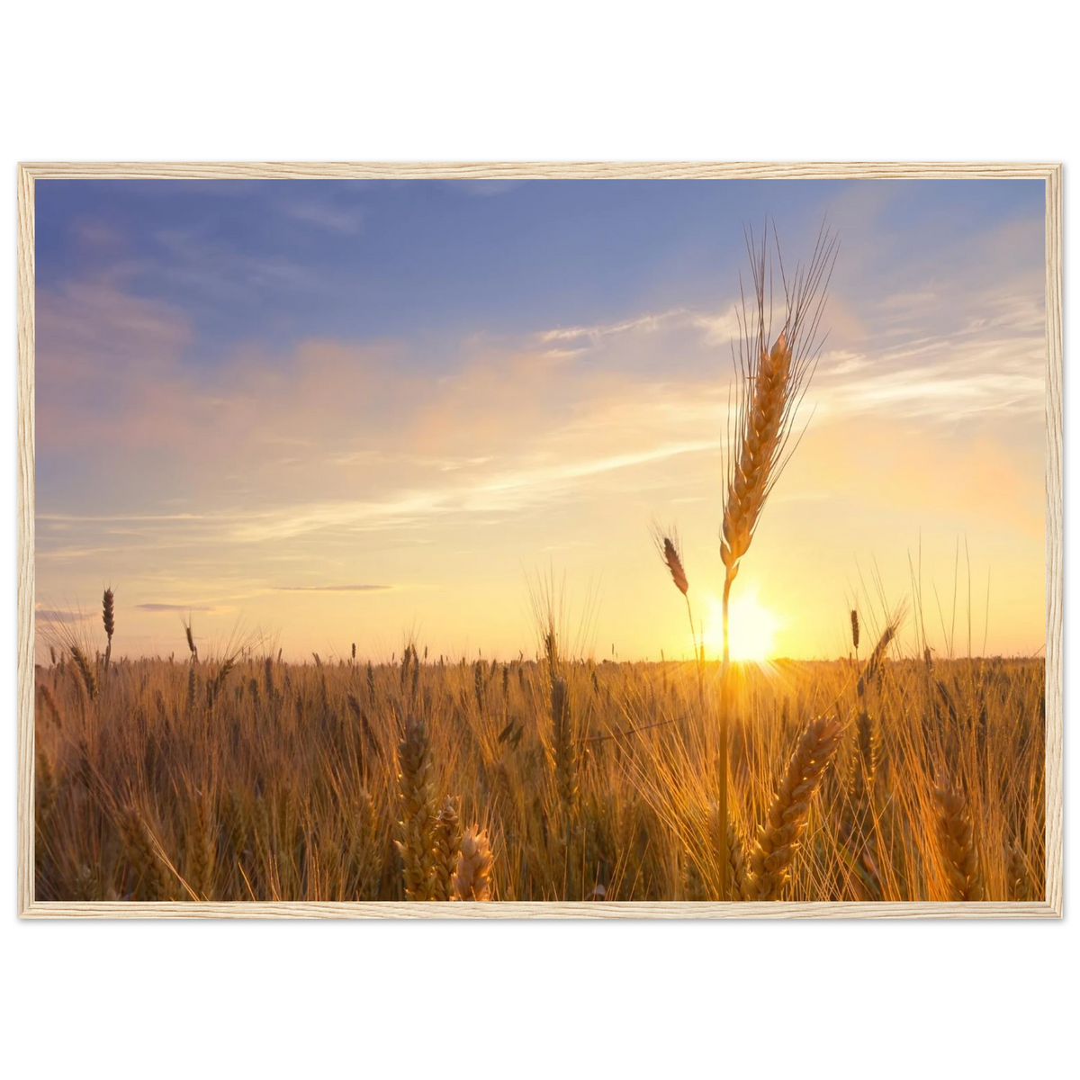 338287d3-5e61-4cad-88db-27b6ff9df40d