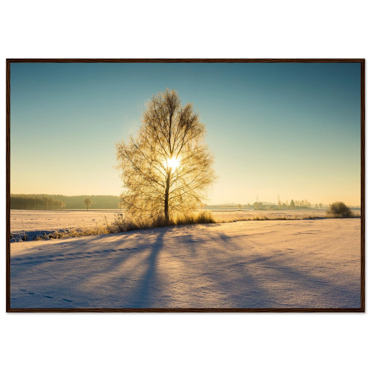 364c1292-9e4e-4afc-b9fc-e5928eb290d5