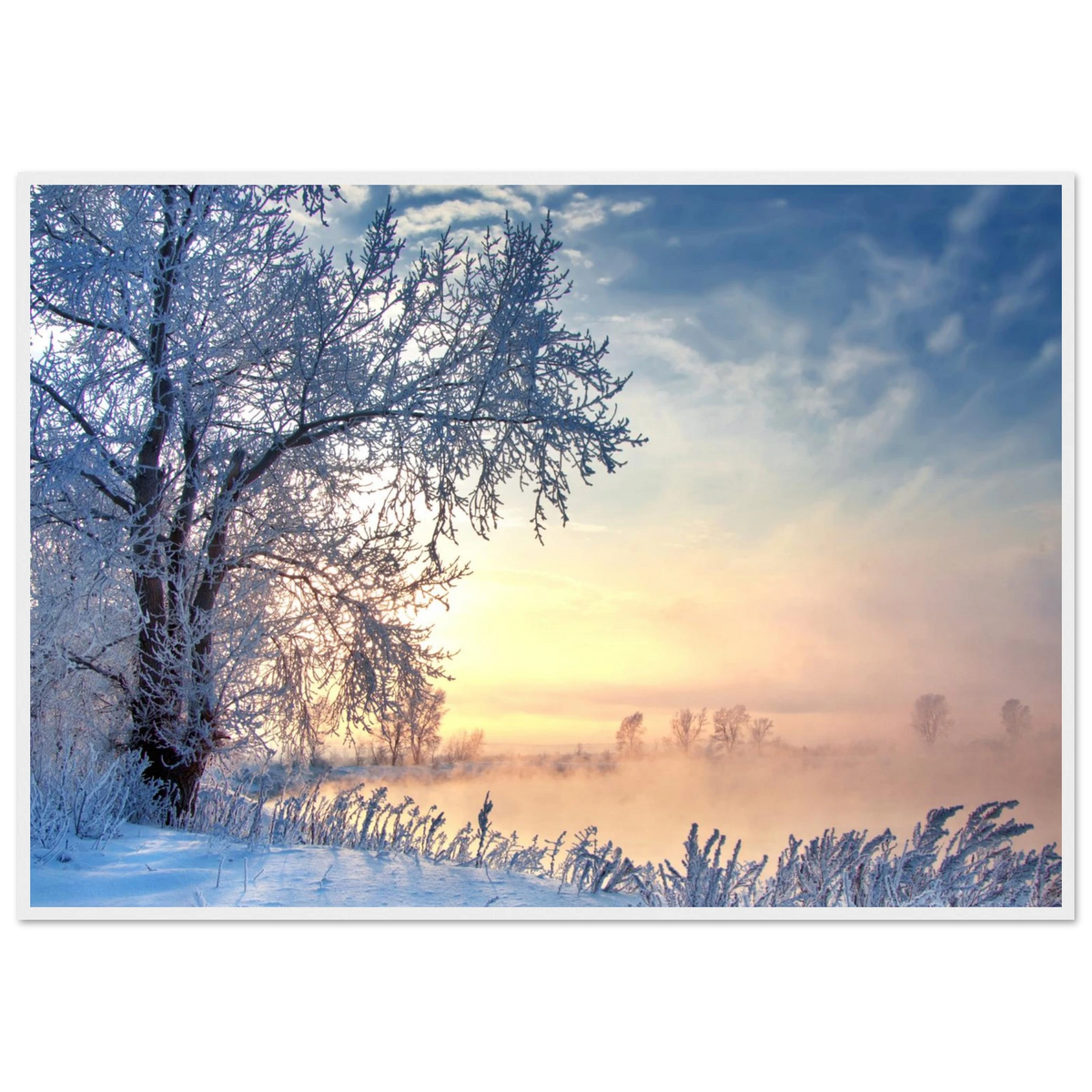 38648598-3d33-4e2c-9e02-a8abf0848f08