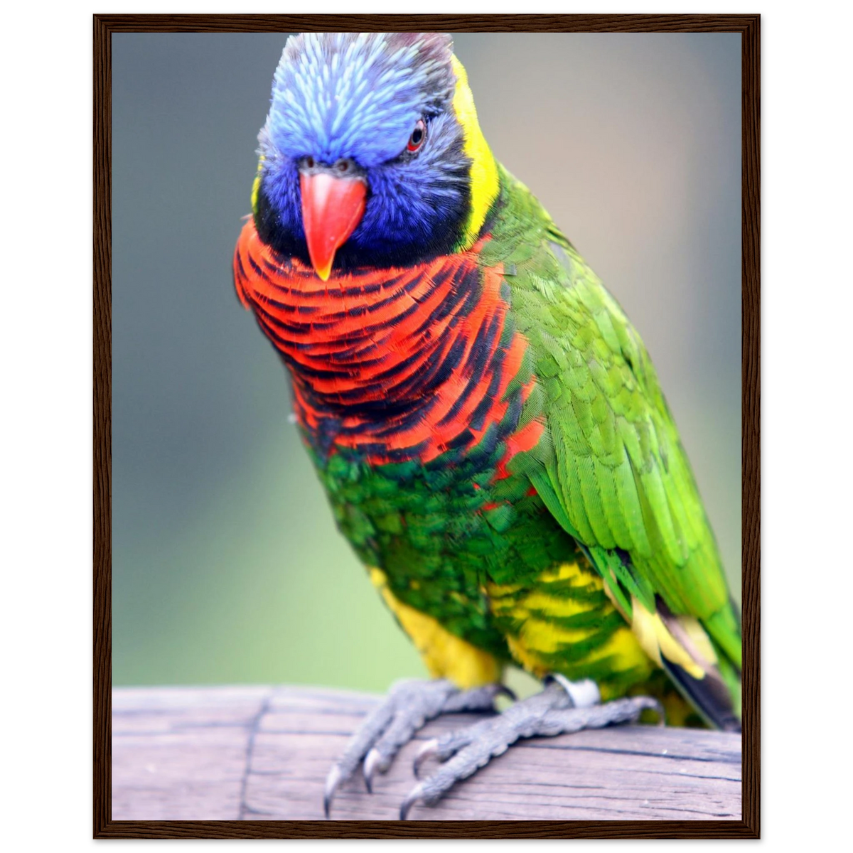 3a7d6154-1564-4f5b-8d8d-84e6a2e0f29c