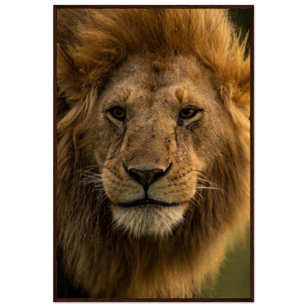 3d404300-bb9d-44ec-94bf-c552e8052190