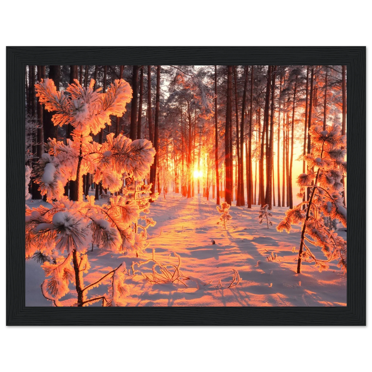3e50b058-b49e-489e-9874-17d627b72340