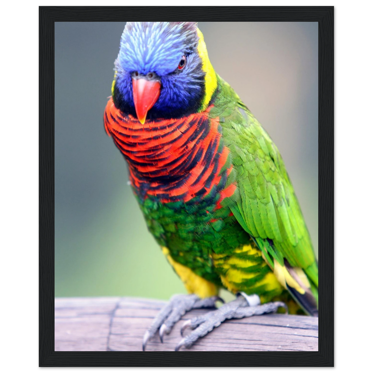 44674b29-6a77-41f2-aec3-4d56df0ee7af