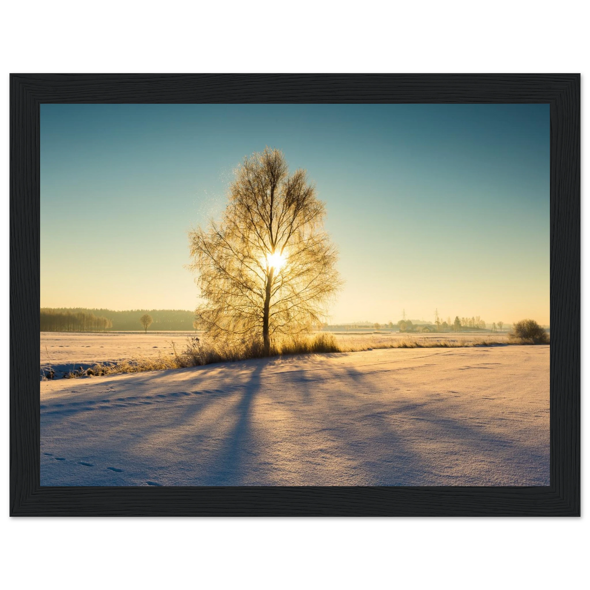 46c8a9de-9388-40fb-93b2-ca105006604b