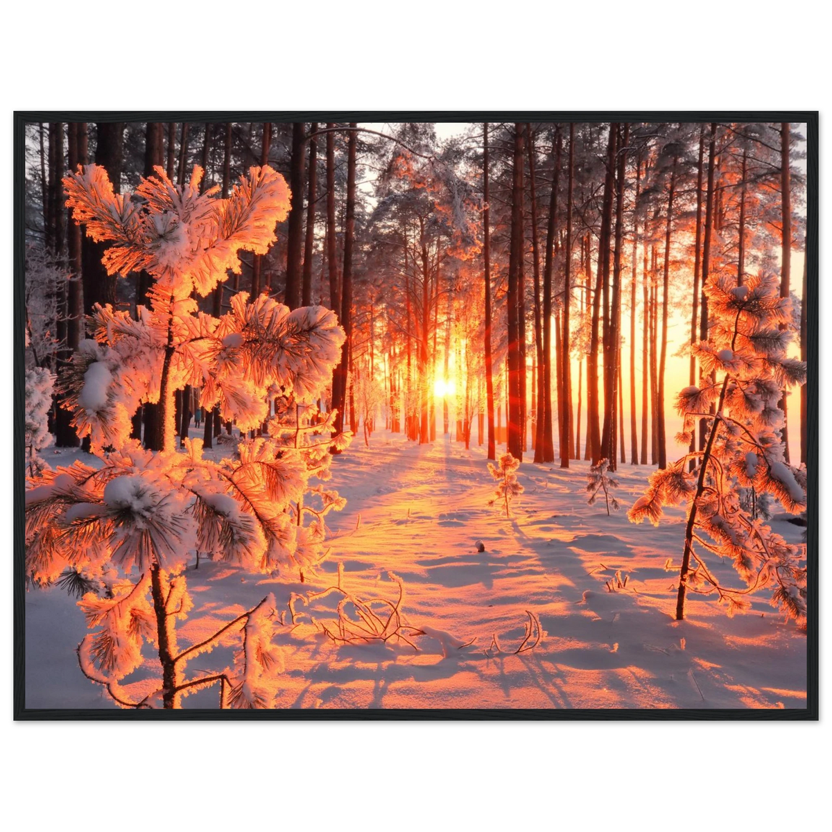 494e5371-33d2-429d-8fd0-17feade970dd