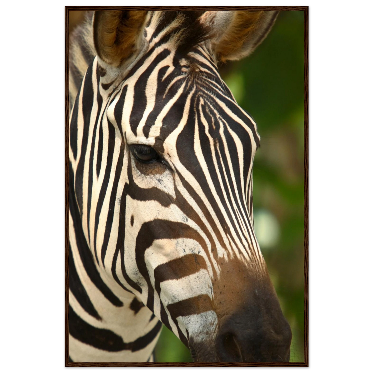 4ce65d86-4d41-4f03-b58e-8d89a0842d5b