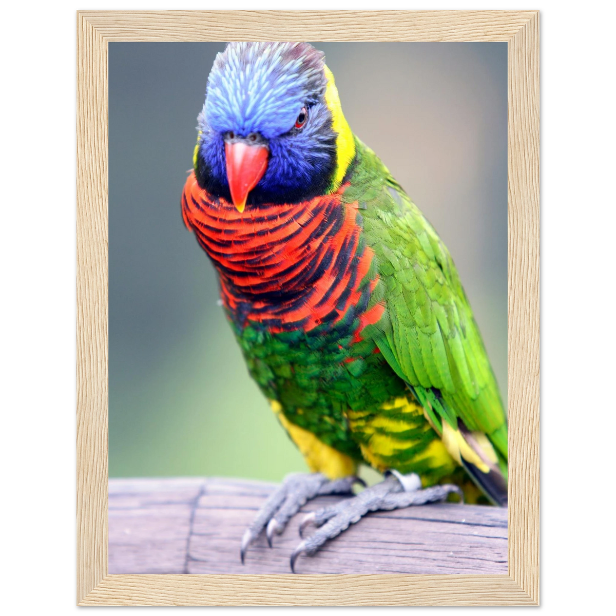 521e11af-25eb-4196-90b4-b88d5d636e38