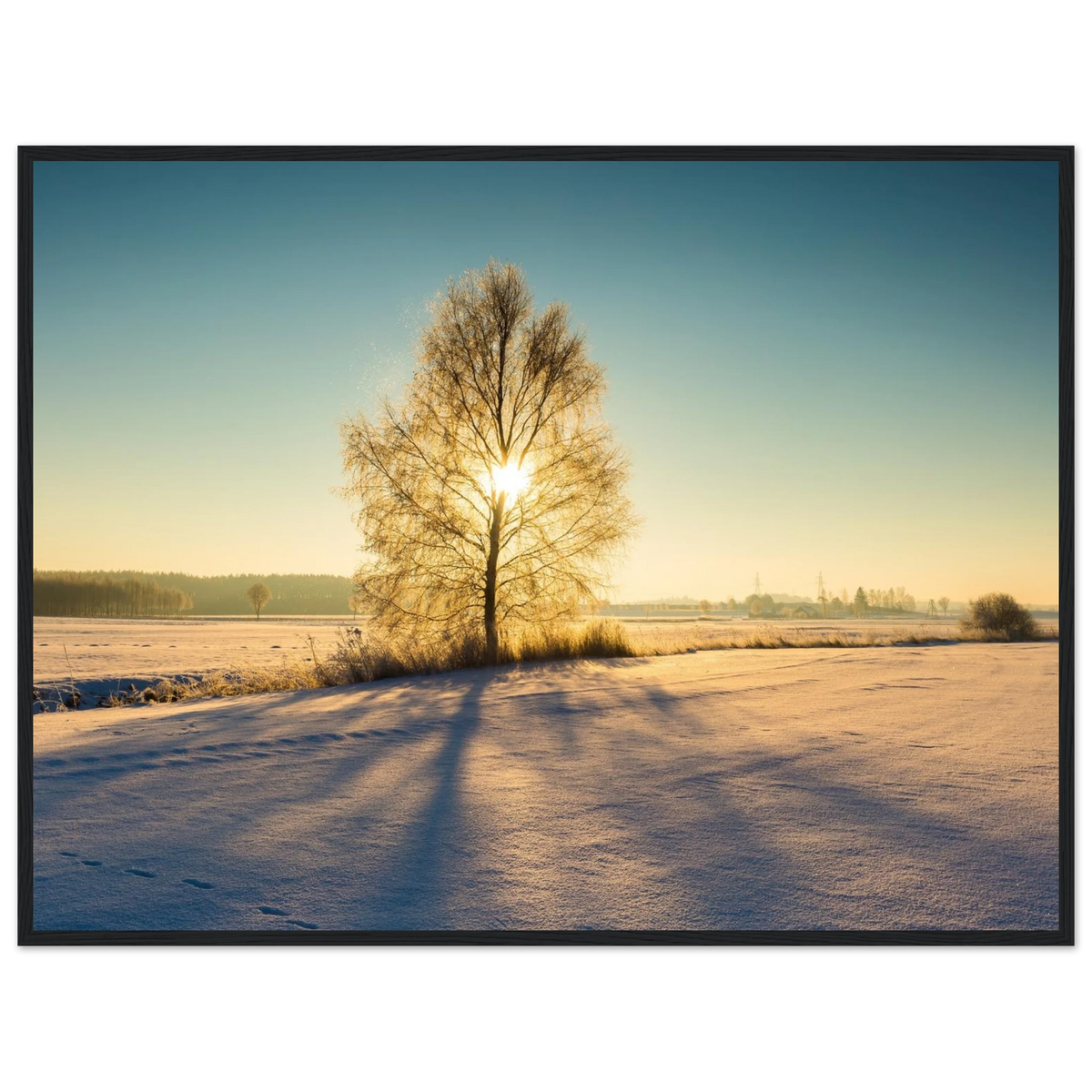 52a72064-f62a-42d0-a064-4564038f1299