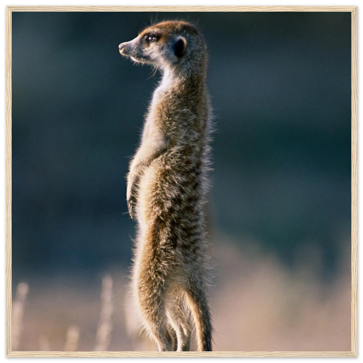 55e1b39c-02bb-4497-a81e-3e98945d44d7