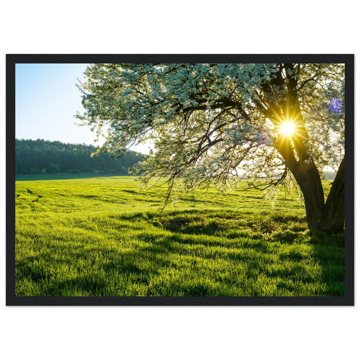 5c019e84-d7e4-444c-9973-a7a9db9af3f0