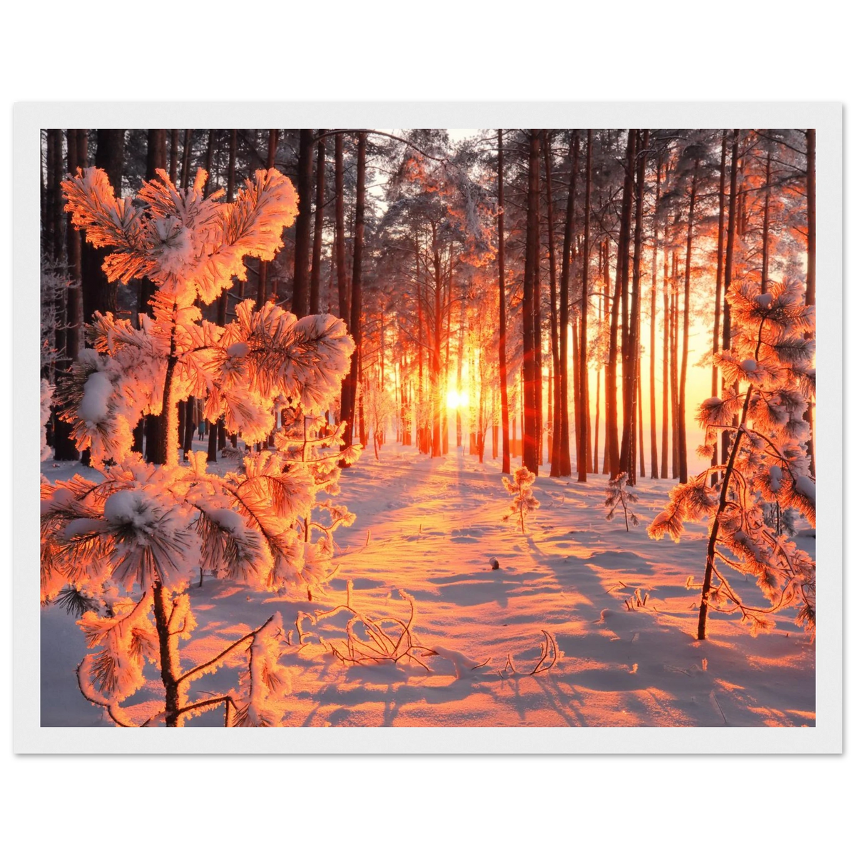5d1a3370-f6bc-4d74-af1e-f5068791041f