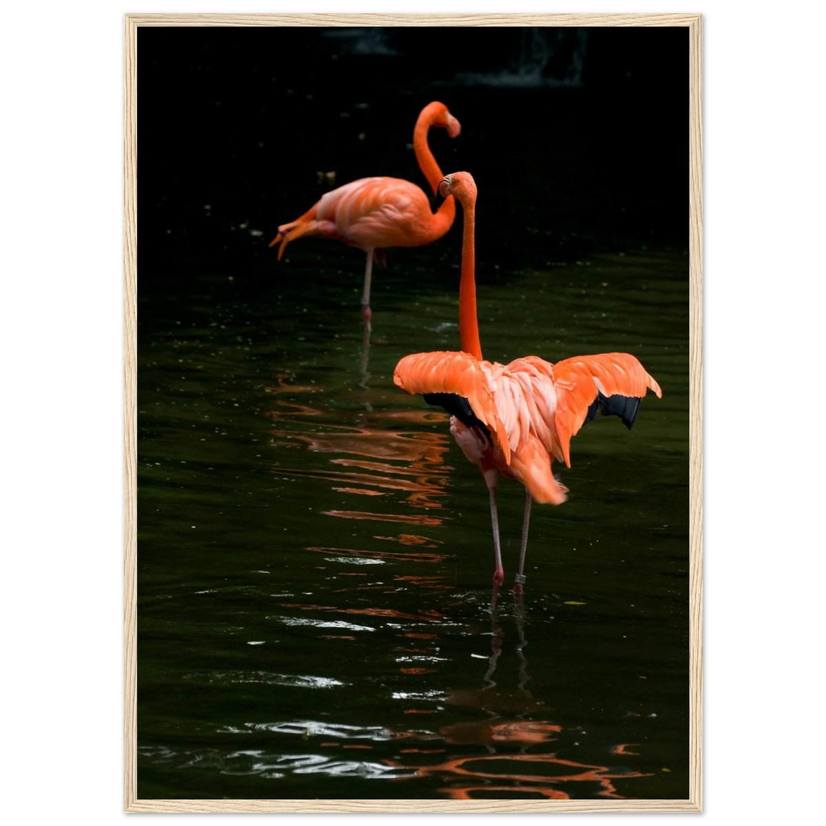 5d339962-c582-4b6d-b375-ebb0c6117e01