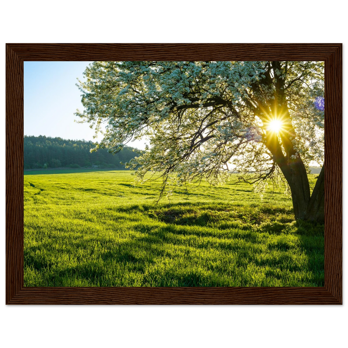 6006d80f-6ec0-4b69-b13d-16ebba3de2b7