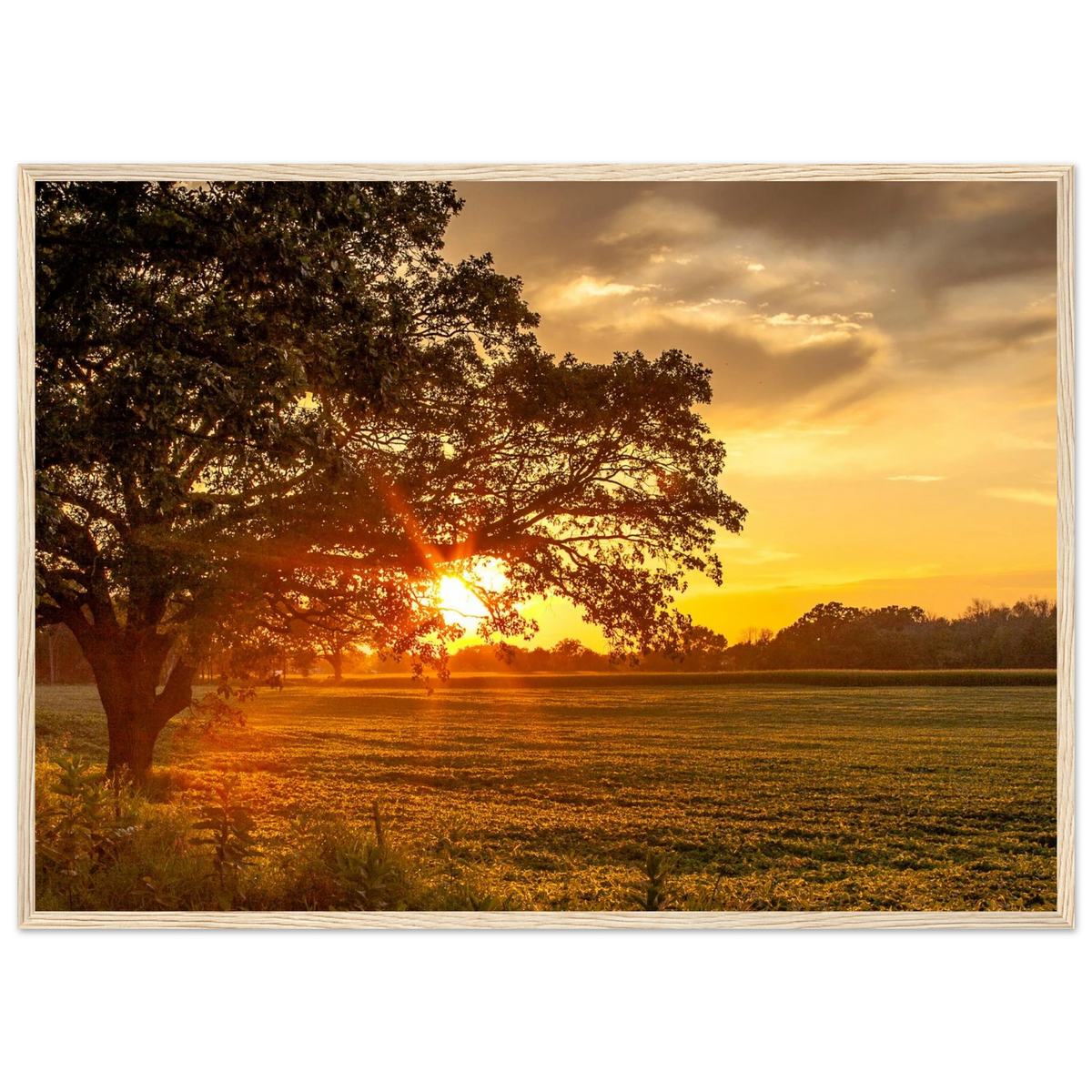 64fdd0b0-d666-4dc2-962e-f083fa390c15