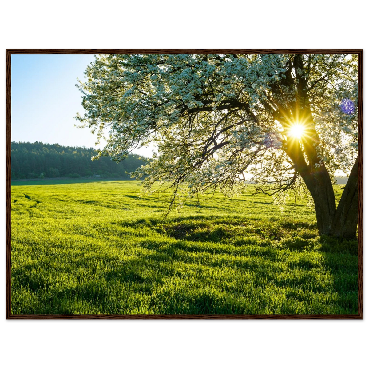 6622b06c-720e-4dbe-a1bd-6b2a1b340a3a