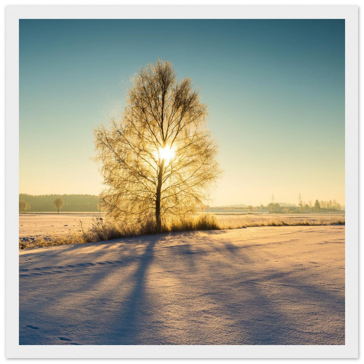 6c16eb9b-d427-440f-bb36-e1df0c9e469f
