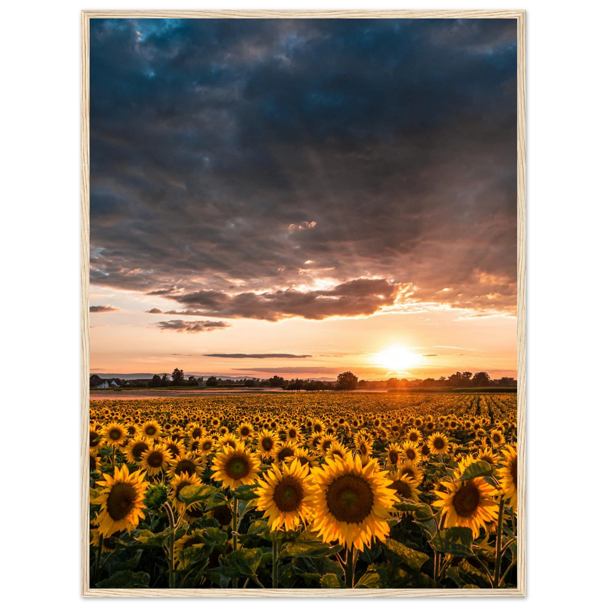 6c200733-a7ad-4325-be56-b56d68105c70
