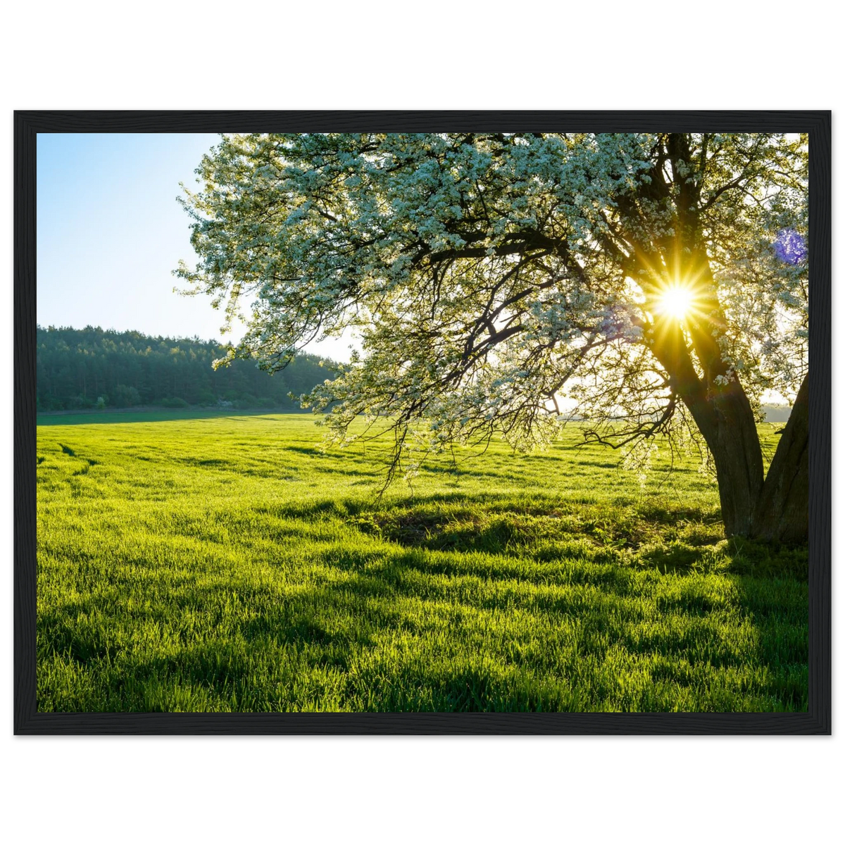 7294ecdc-56c9-4495-969c-ce62ad09d87e