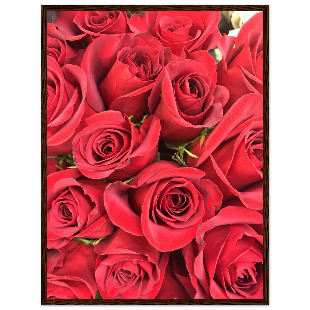 74d8ed0e-da96-43b6-bb06-4ce023629b57