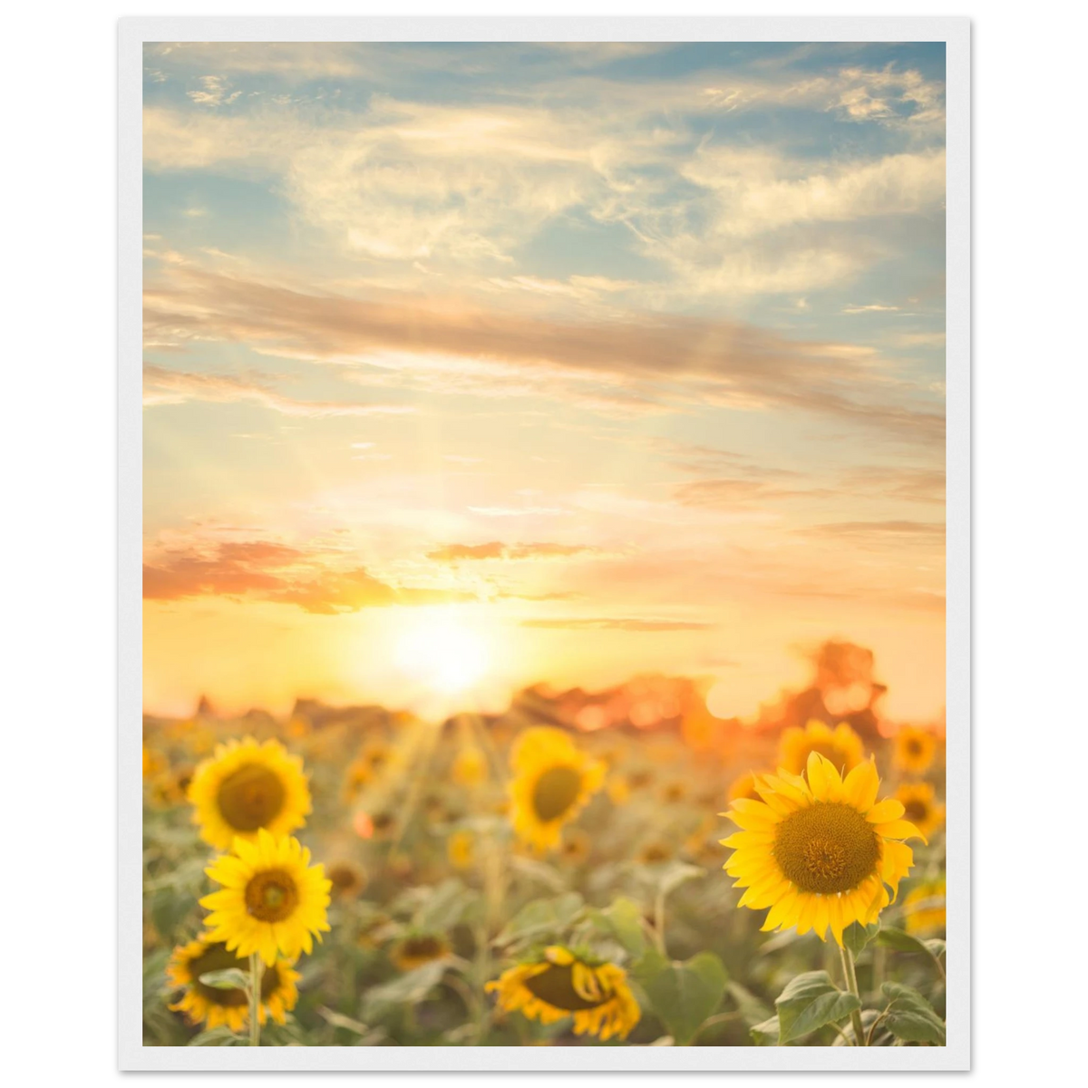 76d03ee6-d14c-4bb4-9be1-e5147ce350f9