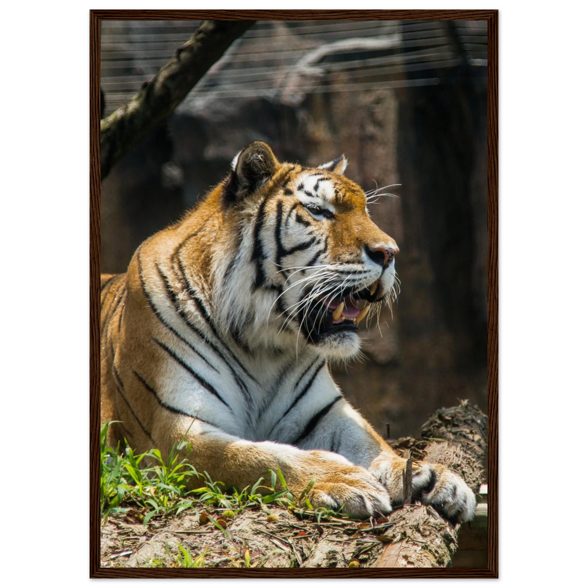 7d2a03cf-e789-4d02-9857-b6af944ab07d