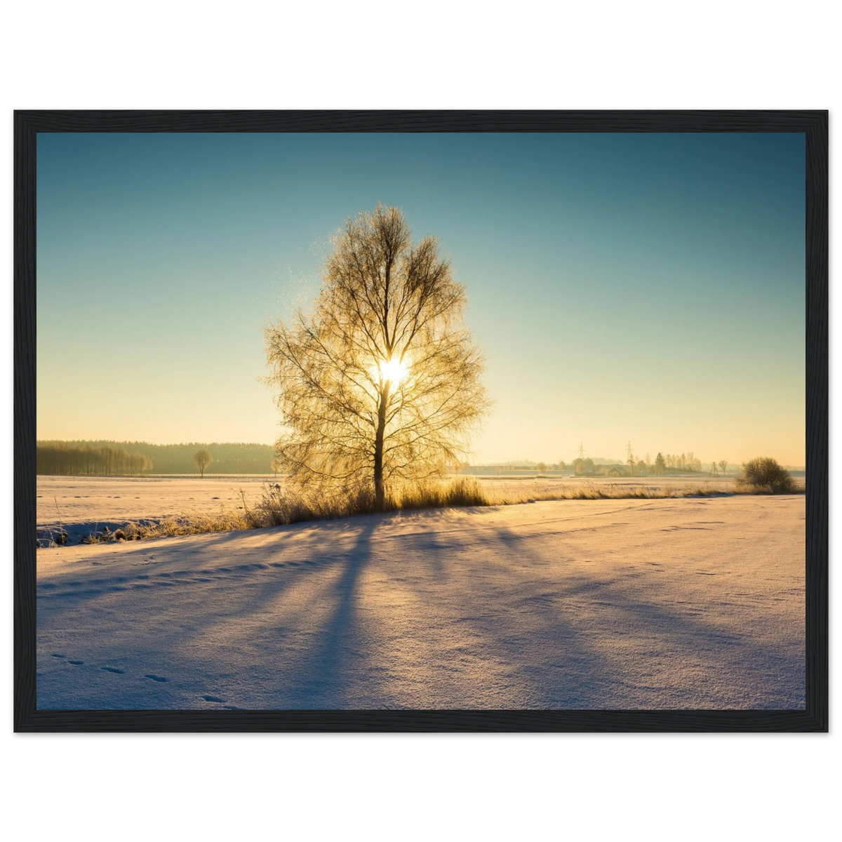 81a06300-e06d-4b25-b0b7-dcd38d429b4d