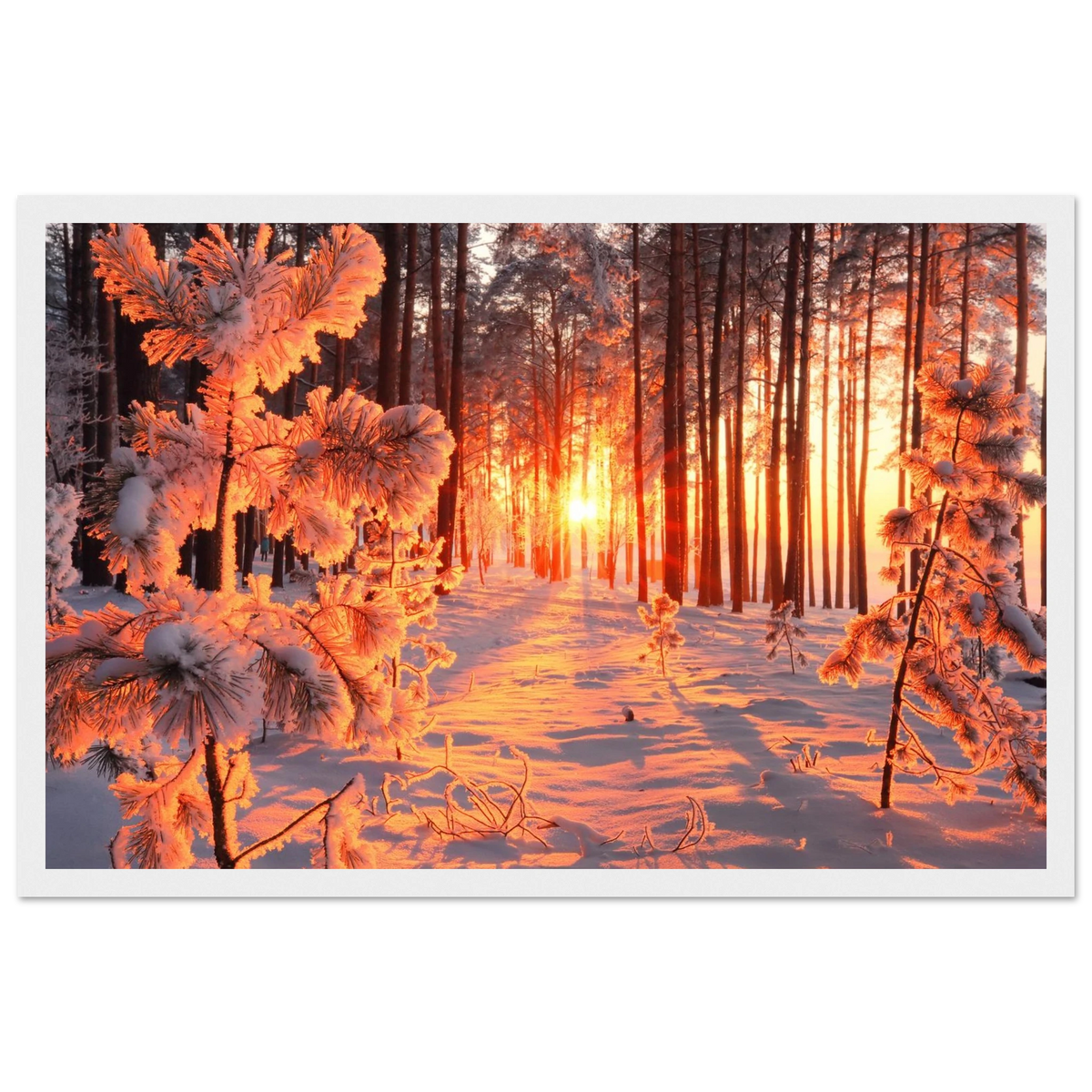 928d1ec4-0fdb-4ef8-be15-63ec07ca205d