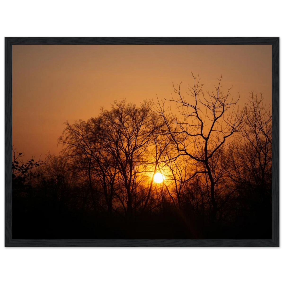 a00522ed-9bef-4ff5-9bf0-040b508da7a0