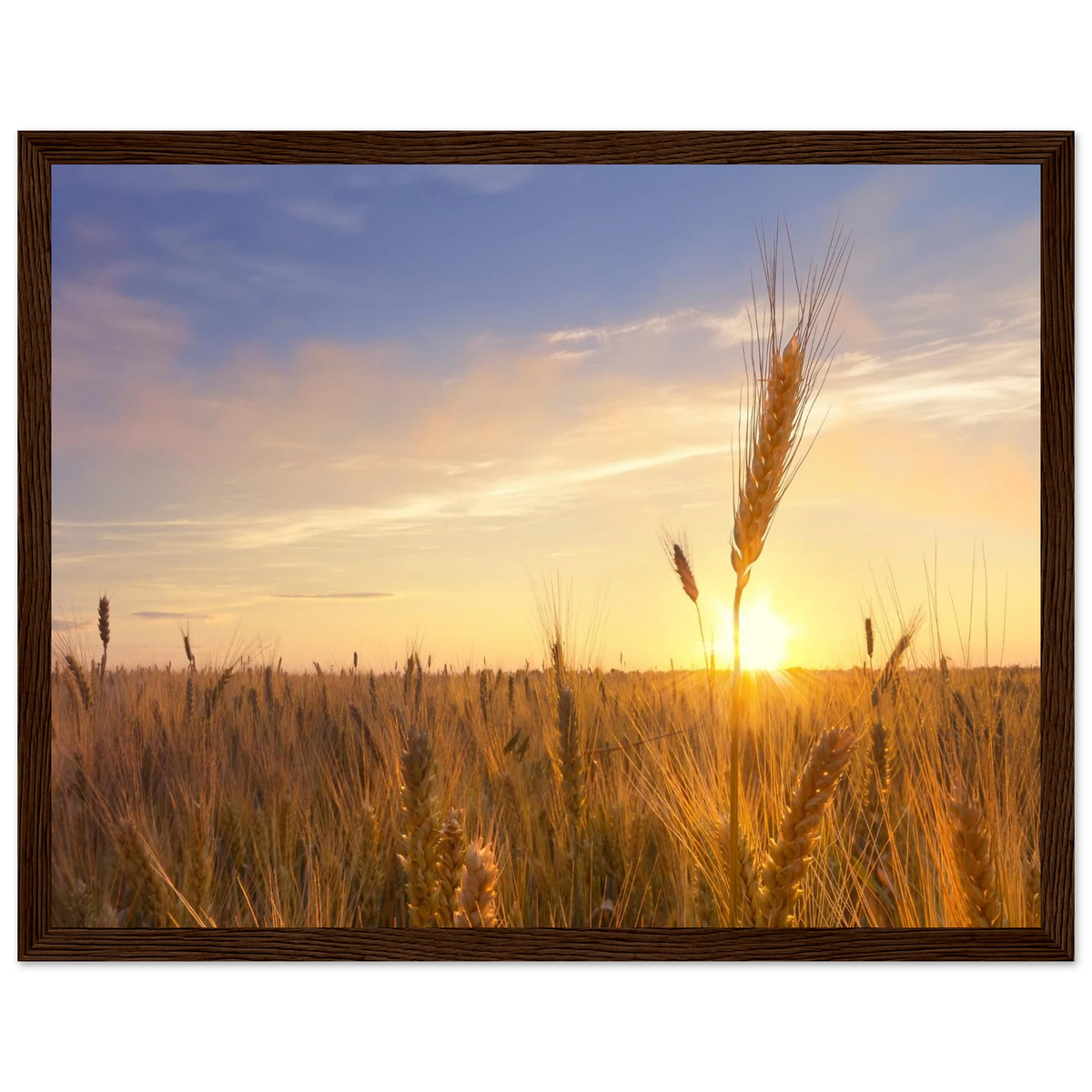 a201c982-3b1b-4007-8210-1081f1032b5f