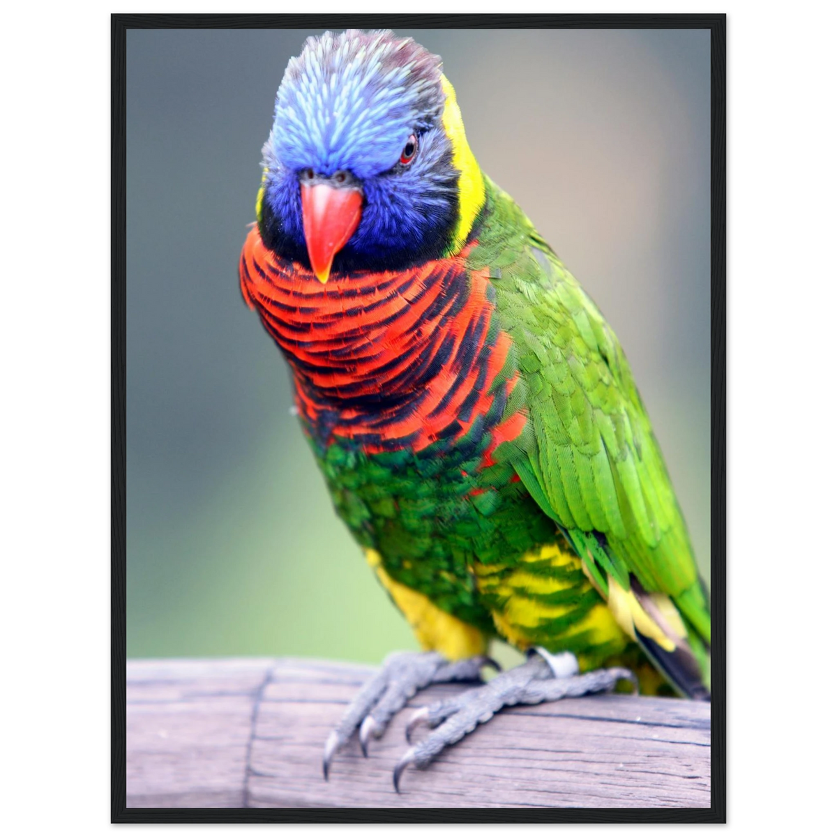 a446cf7f-b553-43e7-94ce-f7e12431470f