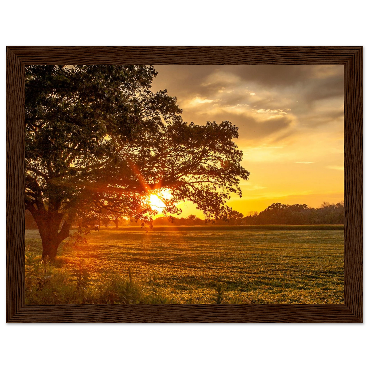 a4f08225-f01c-41b2-b303-47fd38b451c8